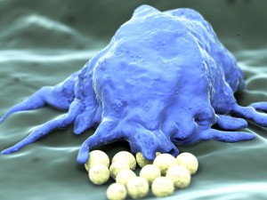 Fotolia_25467566_S-300x225[1]